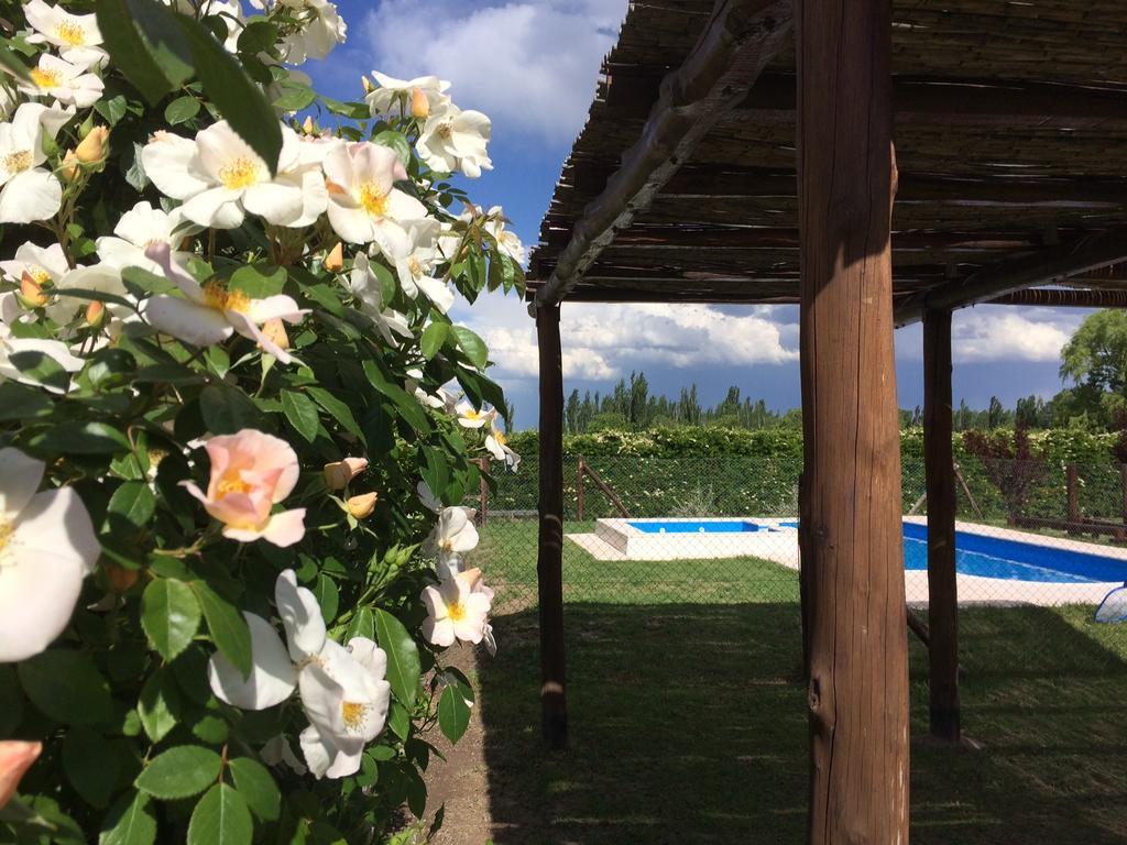 Cabanas La Cosecha San Rafael  Buitenkant foto